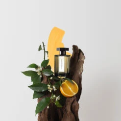 Histoire D'Orangers - Eau De Parfum 7 Histoire D'Orangers - Eau De Parfum -COMPTOIR DE L'HOMME Boutique 3282960 3 3282960 4 1140x1140