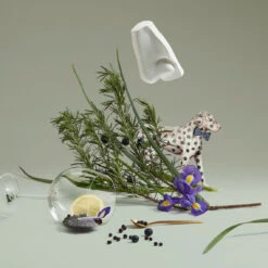 Juniper Sling - Eau De Toilette -COMPTOIR DE L'HOMME Boutique 9609301295134 75067 4 1140x1140