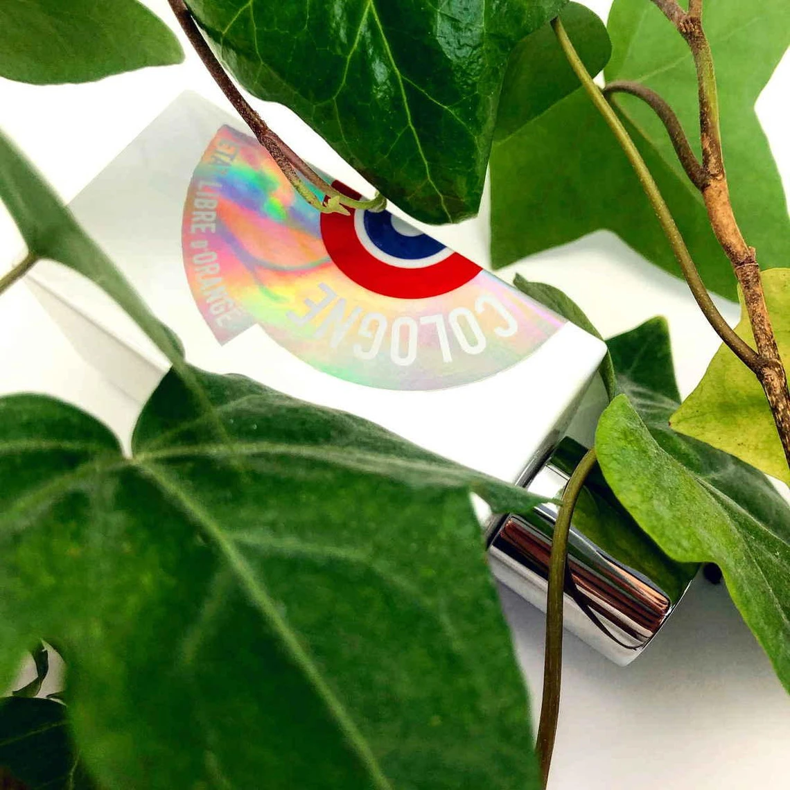 Cologne 8 Cologne – Image 6