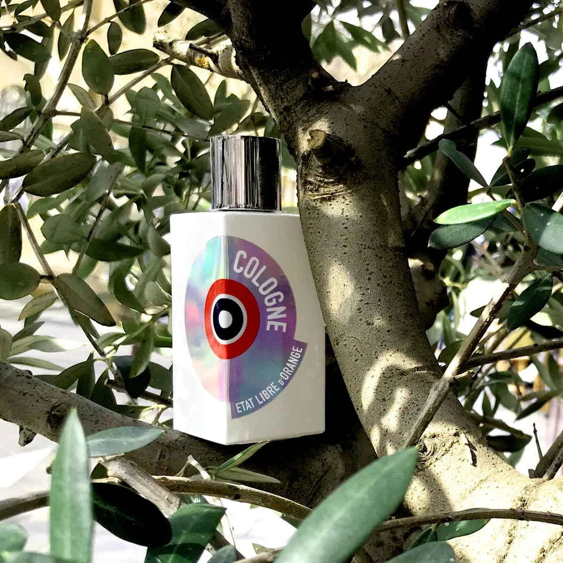 Cologne 9 Cologne – Image 7