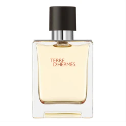 Terre D'Hermès - Eau De Toilette