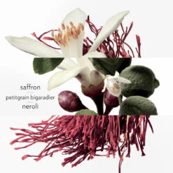 Hermès Eau De Néroli Doré - Eau De Cologne -COMPTOIR DE L'HOMME Boutique eau de neroli dore eau de cologne 168164 3 1140x1140