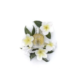 Eau De Parfum Durance Sensuel Monoï -COMPTOIR DE L'HOMME Boutique eau de parfum sensuel monoi 3178416 3 1140x1140