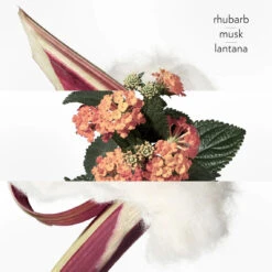 Hermès Eau De Rhubarbe Écarlate - Eau De Cologne Vaporisateur -COMPTOIR DE L'HOMME Boutique eau de rhubarbe carlate hermes eau de cologne vaporisateur 3257423 2 1140x1140