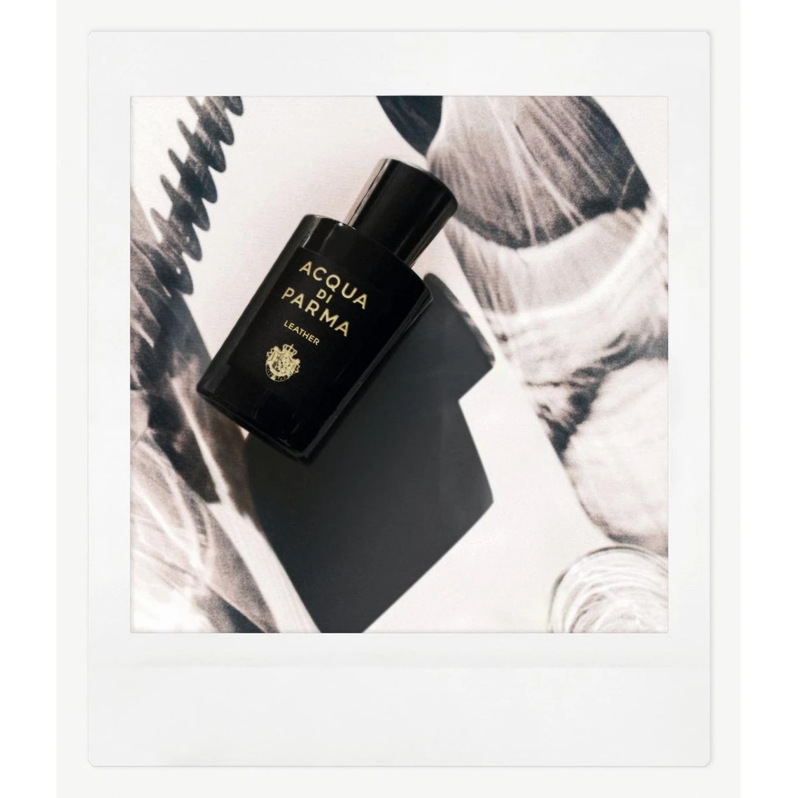 Acqua Di Parma Leather - Eau De Parfum 4 Acqua Di Parma Leather - Eau De Parfum – Image 2