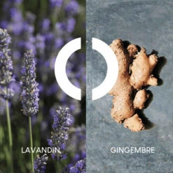 Pour Un Homme De Caron Le Matin - Eau De Toilette Vaporisateur -COMPTOIR DE L'HOMME Boutique pour un homme de caron le matin eau de toilette vaporisateur 3393876 4 1140x1140