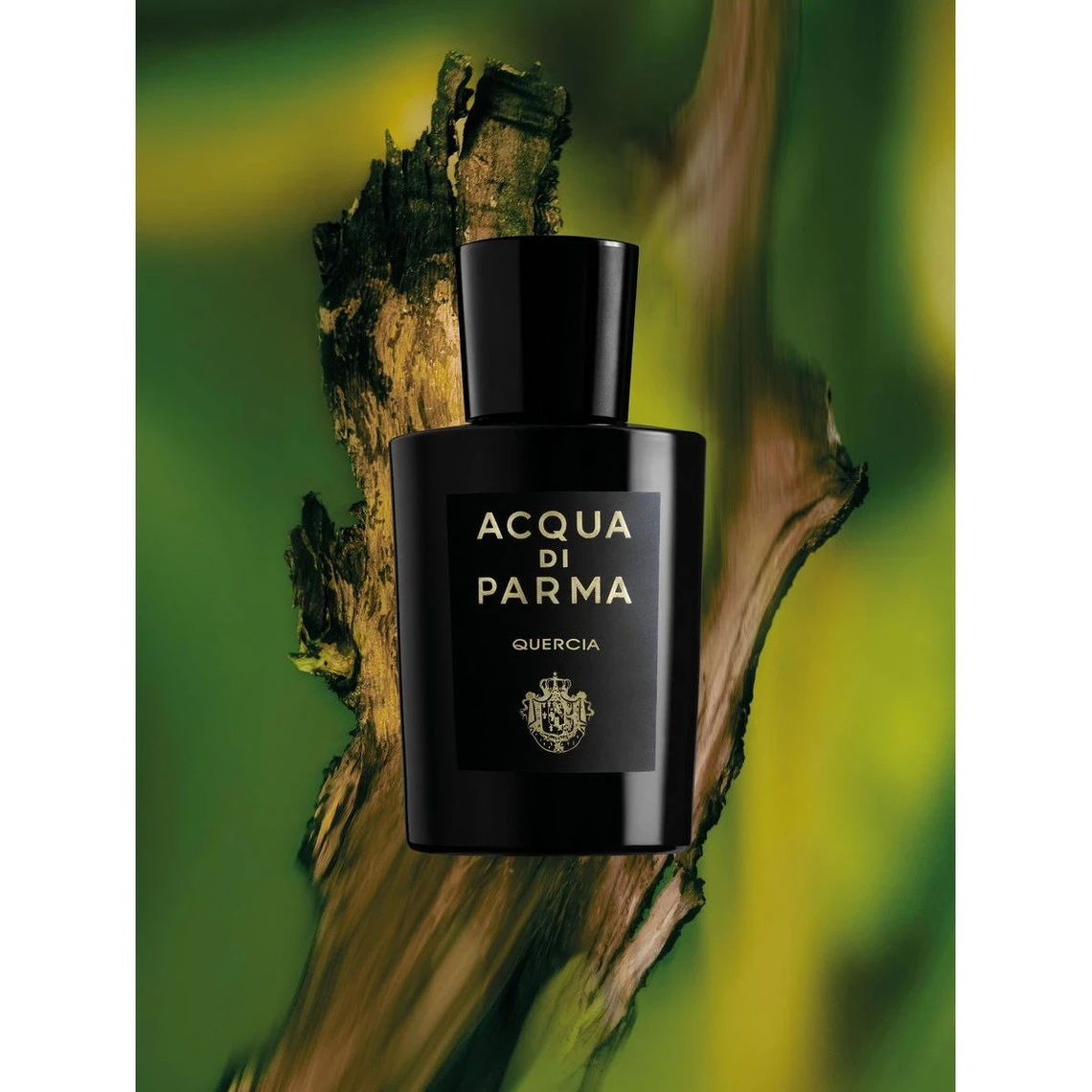 Acqua Di Parma Quercia - Eau De Parfum 5 Acqua Di Parma Quercia - Eau De Parfum – Image 3
