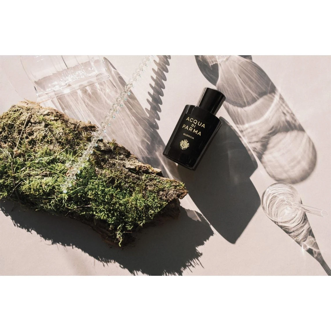 Acqua Di Parma Quercia - Eau De Parfum 7 Acqua Di Parma Quercia - Eau De Parfum – Image 5