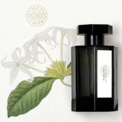 Timbuktu - Eau De Toilette -COMPTOIR DE L'HOMME Boutique timbuktu eau de toilette 241886 2 1140x1140