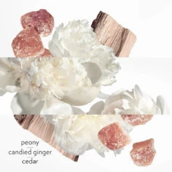 Hermès Twilly Eau Ginger - Eau De Parfum Vaporisateur 14 Hermès Twilly Eau Ginger - Eau De Parfum Vaporisateur -COMPTOIR DE L'HOMME Boutique twilly eau ginger eau de parfum vapo 3270924 4206882 4 1140x1140