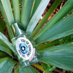 You Or Someone Like You -COMPTOIR DE L'HOMME Boutique you or someone like you eau de parfum 230198 7 1140x1140